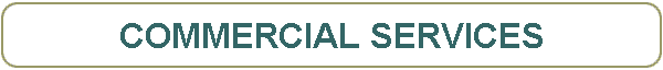 COMMERCIAL SERVICES