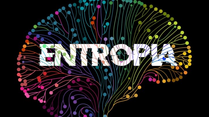 entropia